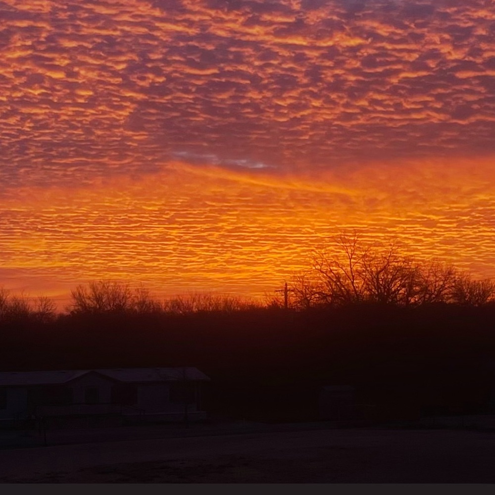 Meet your Posher, Jayden